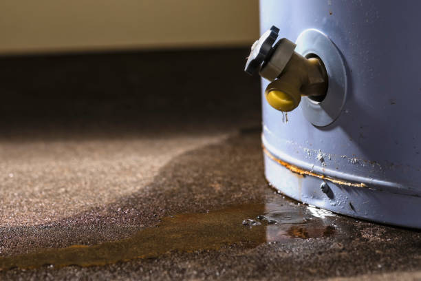 Best Residential water damage restoration  in Bonneau Beach, SC