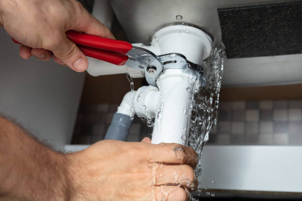 Best Flood restoration services  in Bonneau Beach, SC