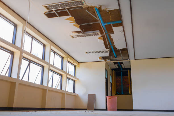 Best Mold removal after water damage  in Bonneau Beach, SC