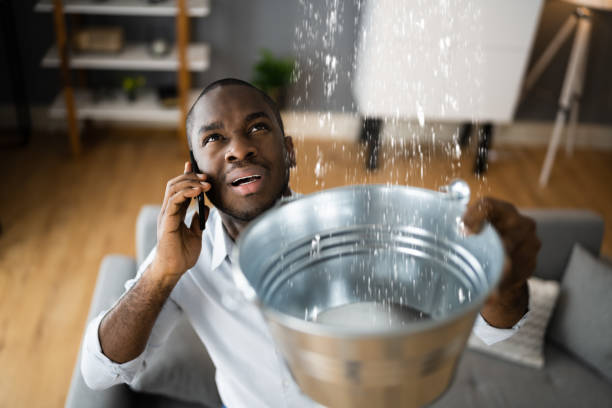 Best Mold removal after water damage  in Bonneau Beach, SC