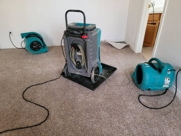 Best Mold removal after water damage  in Bonneau Beach, SC