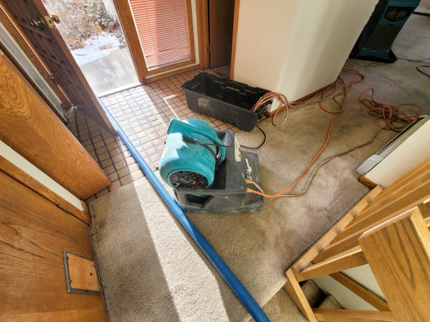 Best Basement water damage restoration  in Bonneau Beach, SC