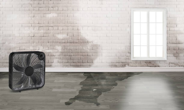 Best Water damage restoration near me  in Bonneau Beach, SC