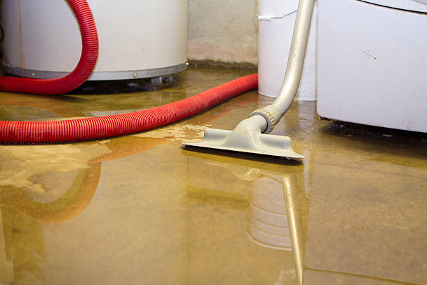 Best Water damage cleanup near me  in Bonneau Beach, SC
