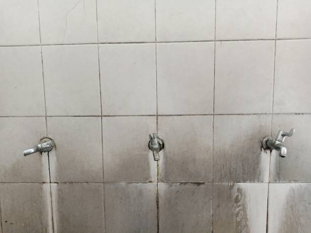 Best Water damage restoration specialists  in Bonneau Beach, SC