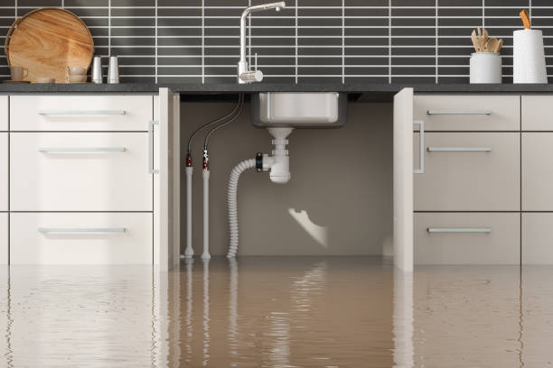 Best Water damage contractors near me  in Bonneau Beach, SC